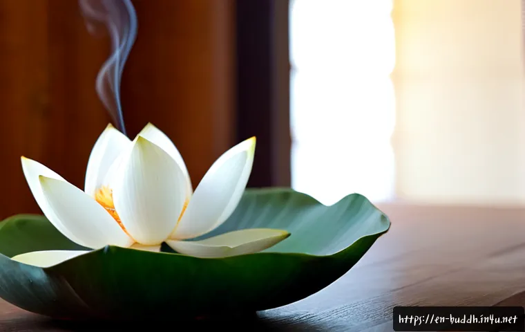 Lotus Symbolism in Buddhism: Meanings, Traditions, and Choosing Reliable Learning Resources 3 연꽃과 불교 관련 이미지 1